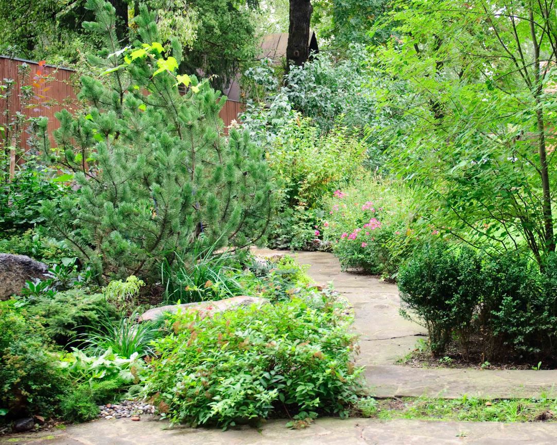 Каменистый сад у Мещерского парка